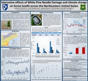 Interactive effects of White Pine Needle Damage and