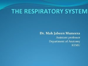 THE RESPIRATORY SYSTEM Dr Mah Jabeen Muneera Assistant