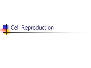 Cell Reproduction The Cell Cycle Interphase Divided into