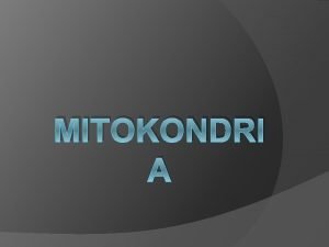 MITOKONDRI A Zer da Non agertzen da Zelula