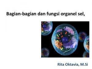 Bagianbagian dan fungsi organel sel Rita Oktavia M