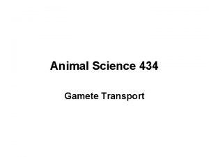 Animal Science 434 Gamete Transport Sperm Transport in