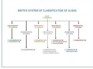 Algae classification table