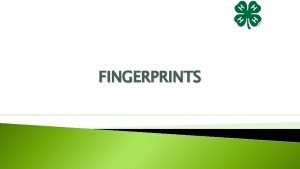 FINGERPRINTS Fingerprints Why do we have fingerprints There