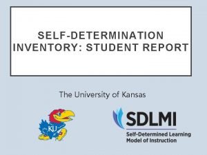 Self-determination inventory