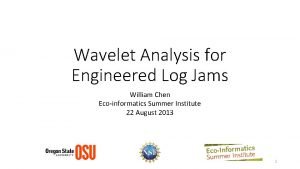 Wavelet Analysis for Engineered Log Jams William Chen