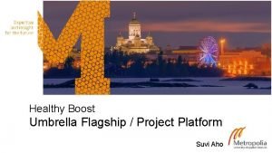 Healthy Boost Umbrella Flagship Project Platform Suvi Aho