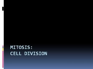 MITOSIS CELL DIVISION Why do cells divide Growth