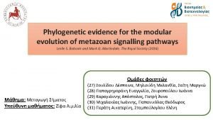 Integrative and Comparative Biology Unbiased View of Synaptic