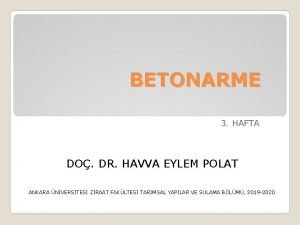 Havva eylem polat