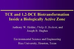 TCE and 1 2 DCE Biotransformation Inside a