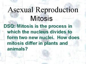 Asexual Reproduction Mitosis DSQ Mitosis is the process