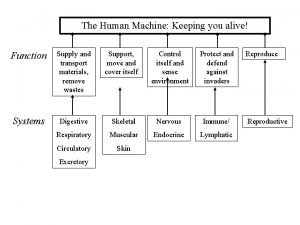The Human Machine Keeping you alive Function Supply