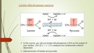 Lactate dehydrogenase