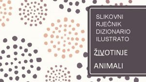 SLIKOVNI RJENIK DIZIONARIO ILUSTRATO IVOTINJE ANIMALI TUMA ZNAKOVA