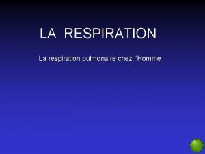 Mouvement respiratoire