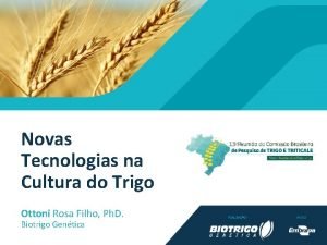 Novas Tecnologias na Cultura do Trigo Ottoni Rosa