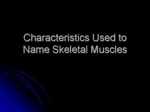 Naming of skeletal muscles