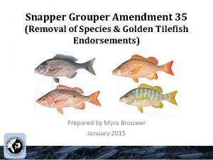 Snapper Grouper Amendment 35 Removal of Species Golden