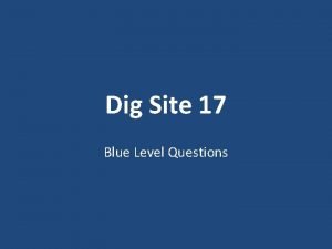 Dig Site 17 Blue Level Questions What did