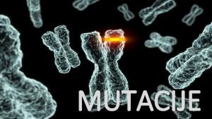 MUTACIJE Uzroci varijabilnosti Mutacije Modifkacije Rekombinacije Krianje Mutacije