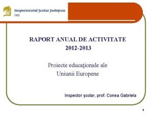 RAPORT ANUAL DE ACTIVITATE 2012 2013 Proiecte educaionale