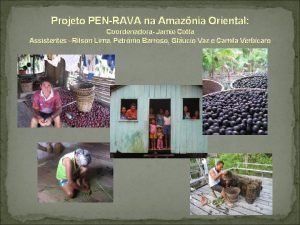 Projeto PENRAVA na Amaznia Oriental Coordenadora Jamie Cotta