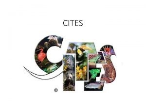 CITES Wat is CITES Convention on International Trade