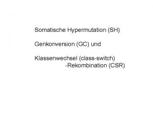 Somatische Hypermutation SH Genkonversion GC und Klassenwechsel classswitch