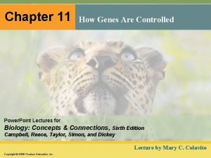 Chapter 11: how genes are controlled