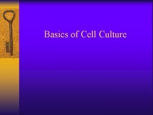 Basics of Cell Culture Introduction Cell culture is