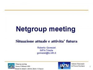 Netgroup meeting Situazione attuale e attivita futura Roberto