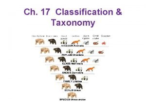 Ch 17 Classification Taxonomy Classification Organizing Grouping Separating