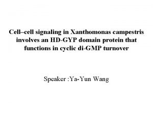 Cellcell signaling in Xanthomonas campestris involves an HDGYP