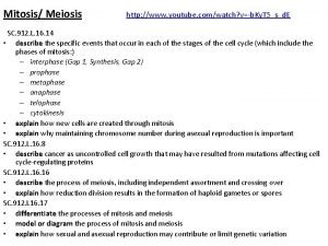 Mitosis Meiosis http www youtube comwatch vb Ky