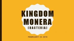 Monera kingdom reproduction