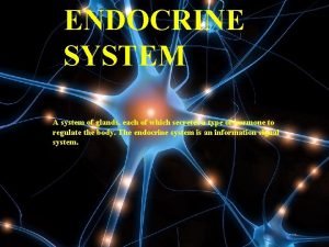 Facts about the endocrine system