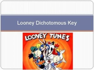 The looney dichotomous key