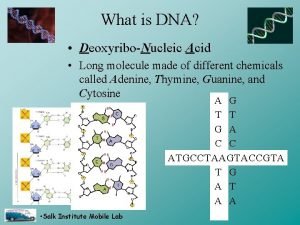 What is DNA DeoxyriboNucleic Acid Long molecule made