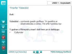 UNED 1 Gwybodaeth Ymarfer Ysbeidiol Dull Gwybodaeth Trafodaeth