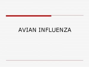 AVIAN INFLUENZA Influenza A devastating disease Flu spreads