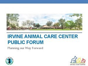 Irvine animal shelter volunteer