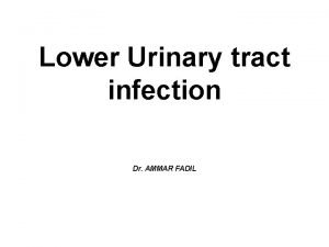 Lower Urinary tract infection Dr AMMAR FADIL UTI