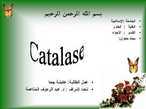 Catalase test procedure
