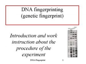 DNA fingerprinting genetic fingerprint Introduction and work instruction