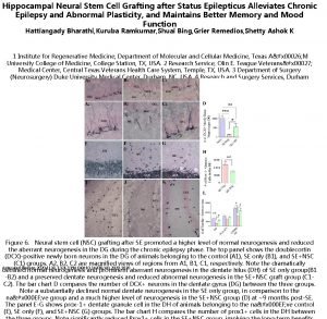 Epilepticus