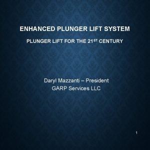 Plunger lift systems