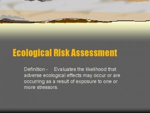 Ecological risk assessment definition