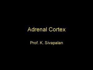 Adrenal Cortex Prof K Sivapalan Structure of Adrenal