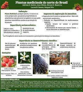 Plantas medicinais do norte do Brasil Adrian S